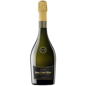 Joan Colet Rius Audaç