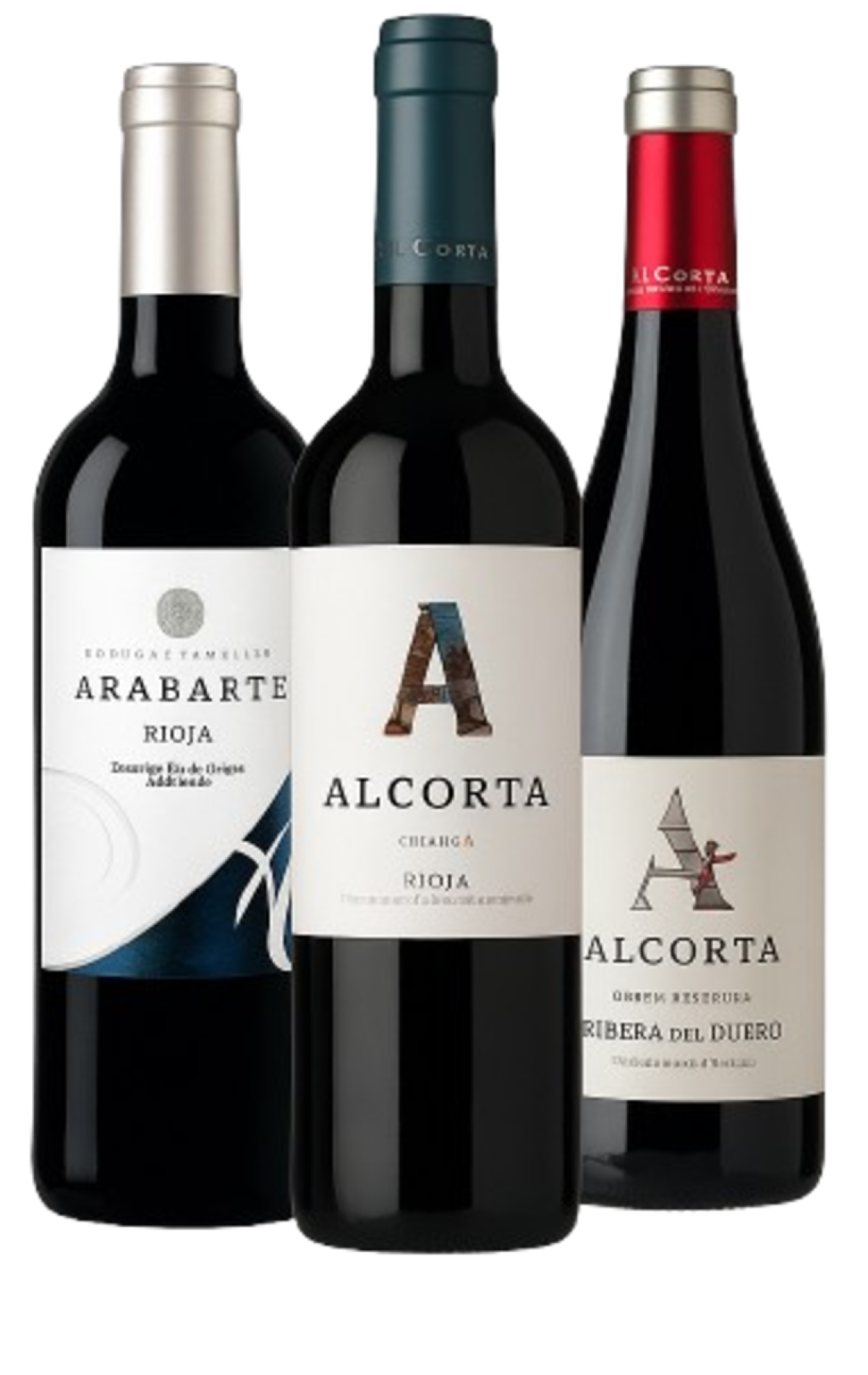 ChatGPT_Image_29_sept_2025__13_54_49-removebg-preview (1)